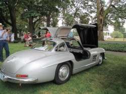 The Coveted Gullwing 