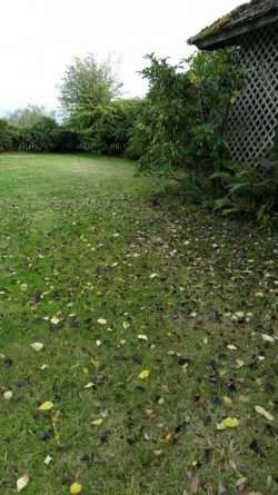 Fall Blow-down Begins