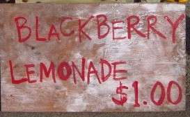 Lemonade Sign
