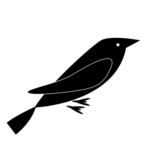 Little Black Bird.jpg