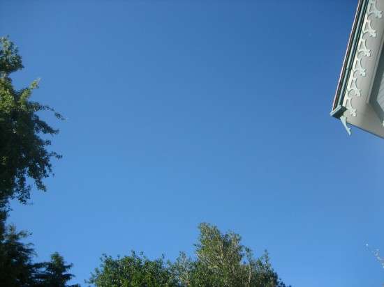 Looking Up!