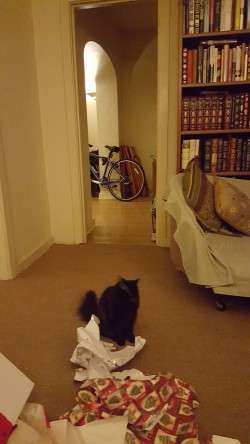 Lupe Helps, Christmas 2015