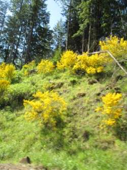 May 8th Along Hiway 30