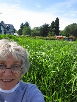 Meadow Grass in May