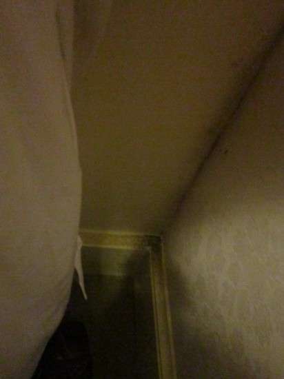 Mildew!