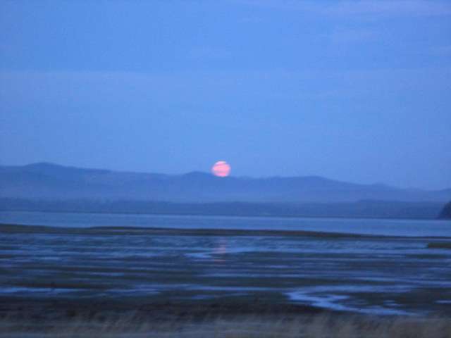 Moonrise Over Willapa Bay, August 21, 2013