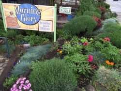 Morning Glory Restaurant
