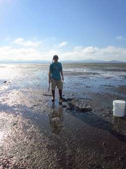 Morning on the Tideflats