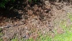 Mulch Mess