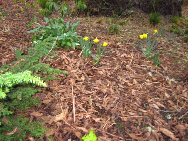 Near the Fire Pit