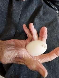 Full of surprises is our Slutvana!