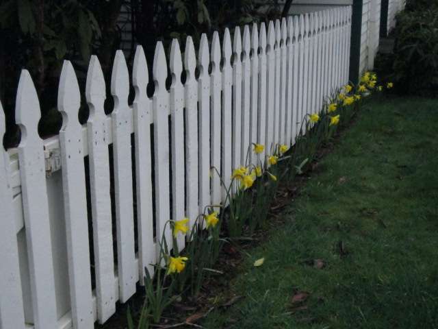 Nyel's Fence