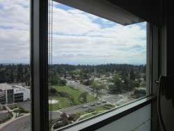 Nyel's View