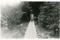 The Ocean Park - Nahcotta Boardwalk