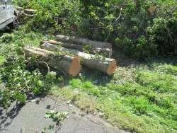 On Territory Road