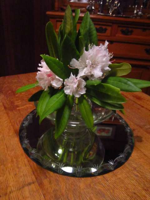 On the Dining Room Table