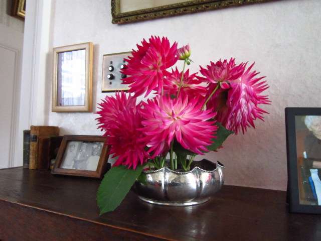 On the Library Mantle