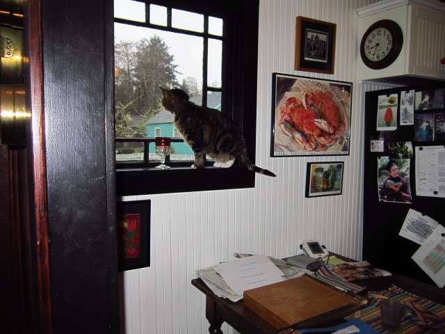 Osa on the Windowsill