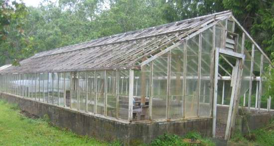 Oysterville Greenhouse