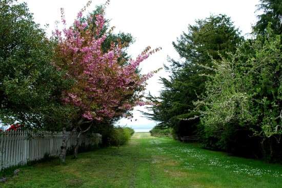 Oysterville Pathway
