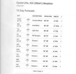 oysterville-weather-forecast