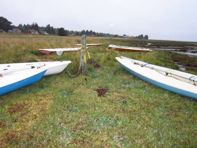 Oysterville Yacht Harbor