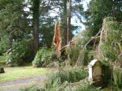 Before the Cleanup - Photo by Corky Biggs