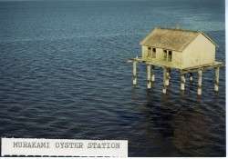 Murakami Oyster Station