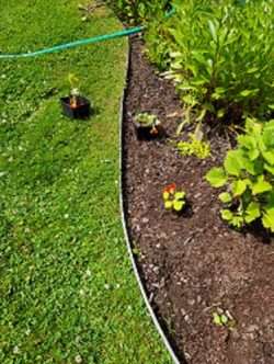 Planting Babies and Hoping for The Best