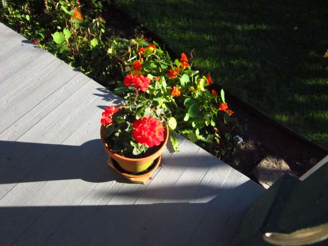 Porch Pot