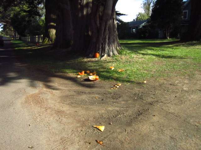 Pumpkin Remains