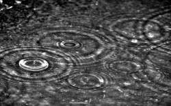 Rain_Drops_Hits_Water_Puddle