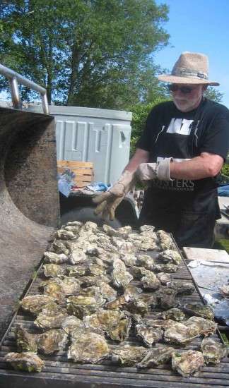 Ready to Shuck