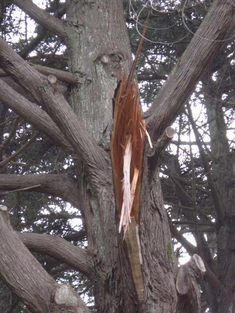 Recent Storm Damage