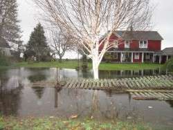 Oysterville Storm Damage, 2012