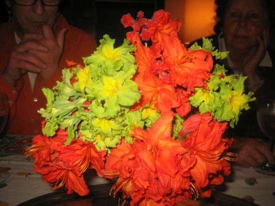 Rhodies and Primroses