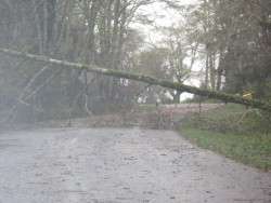 Oysterville Roadblock, 2012