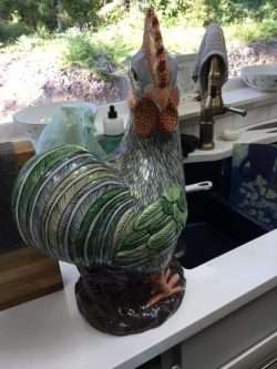 Mr. Rooster’s Big Adventure