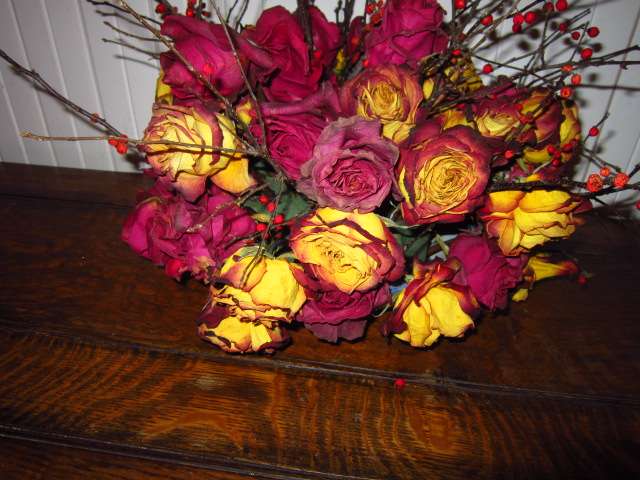 Roses