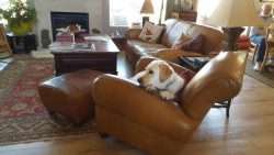 Sage's Chair