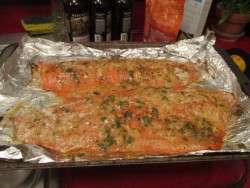 Salmon - Oven Ready