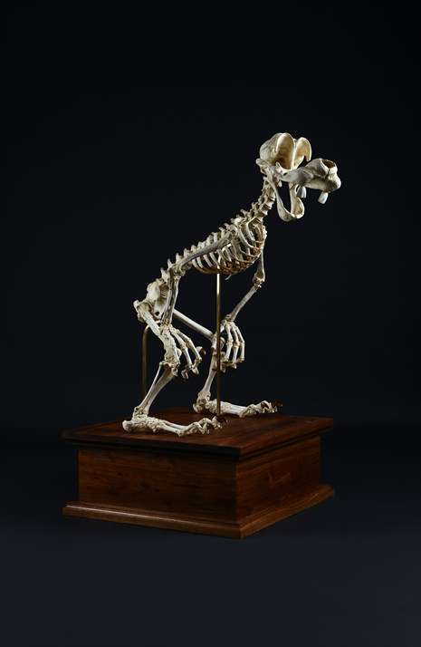 Sculpture by Hyungkoo Lee