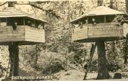 Why was it called "Sherwood Forest?"
