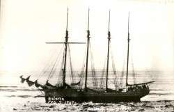 The Solano, February 5, 1907