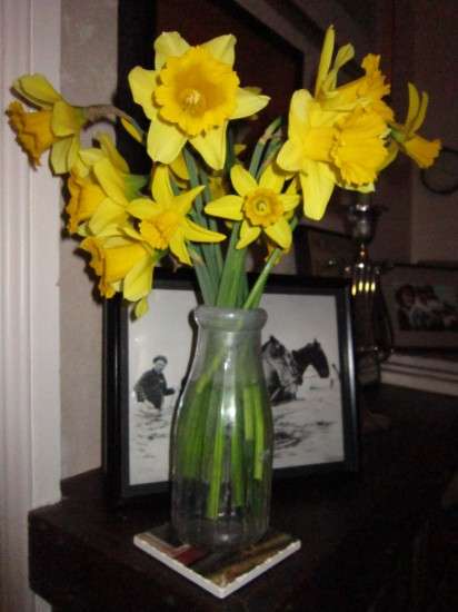 Spring Turns Left