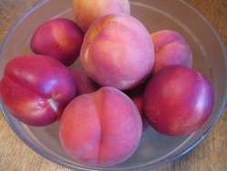 Summer Bounty!
