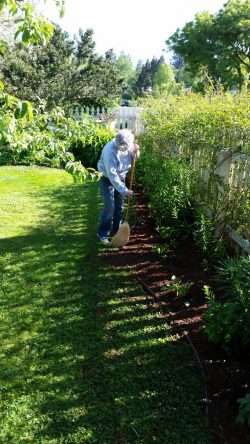 Sweeping the Lawn