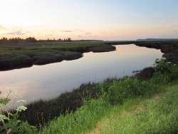 An Evening on the Tarlatt Trail