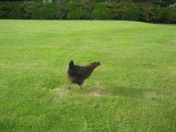 Heading for Greener Grass