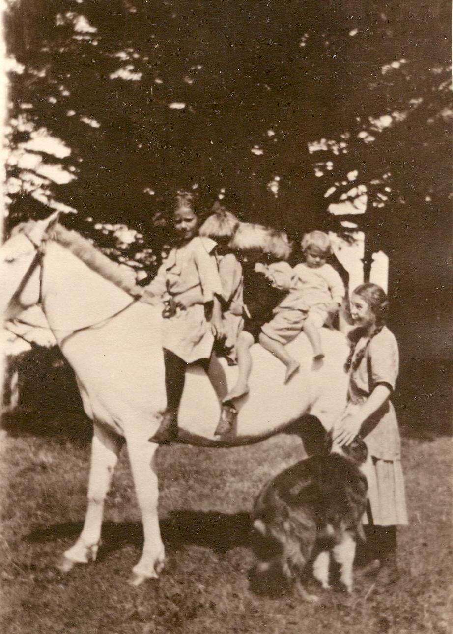The H.A. Espy Children on Danny,c. 1914